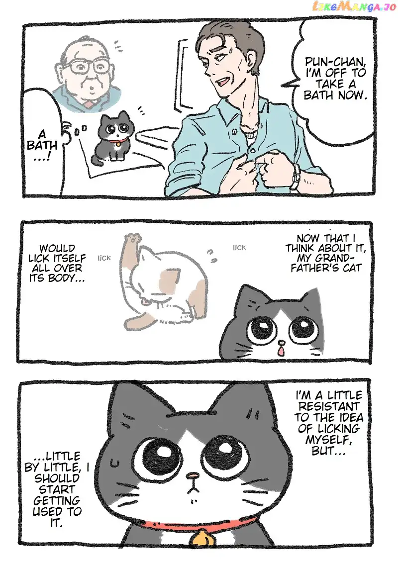 The Old Man Who Was Reincarnated As A Cat chapter 25 - page 1