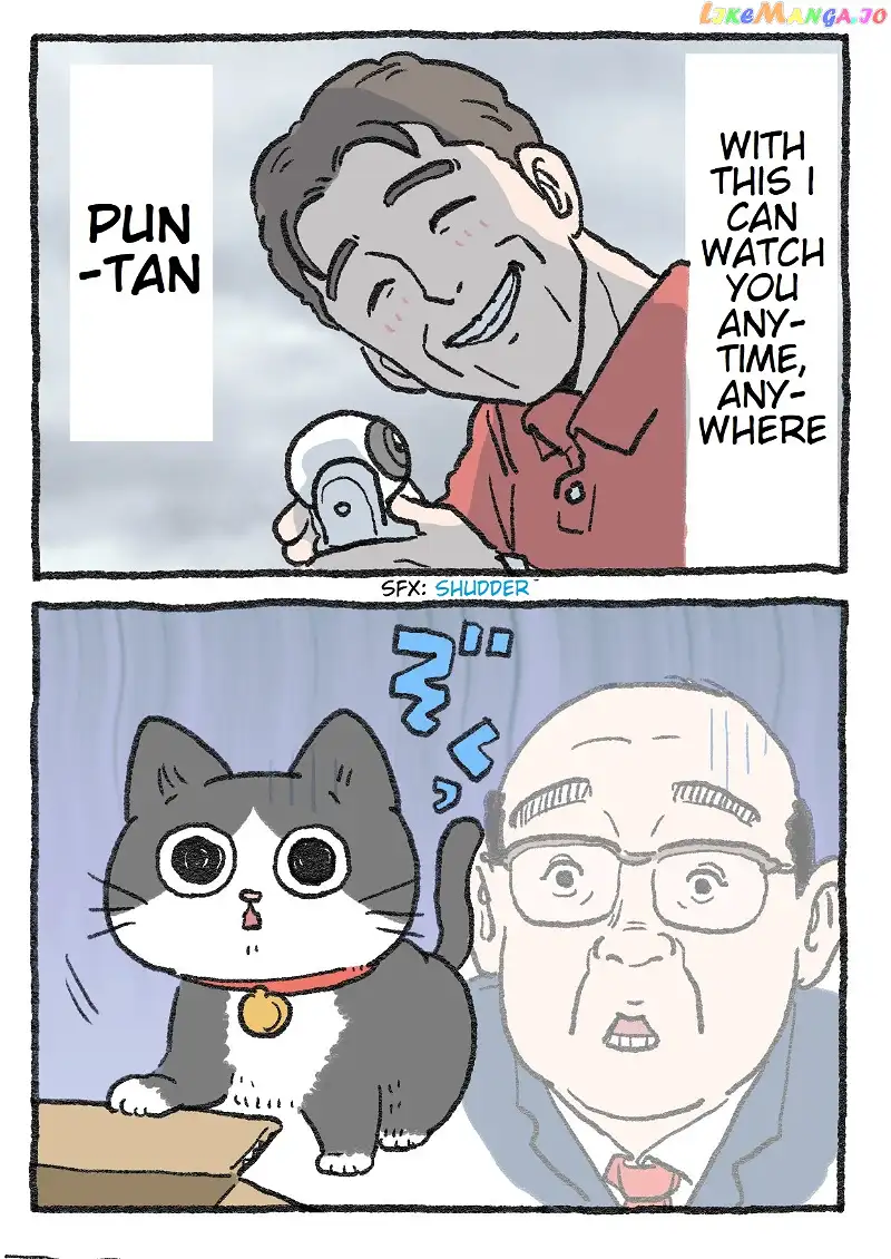 The Old Man Who Was Reincarnated As A Cat chapter 48 - page 2