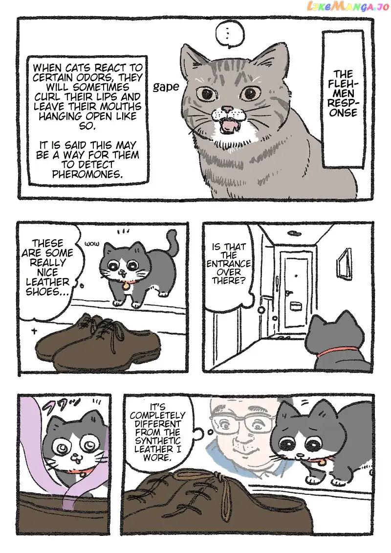 The Old Man Who Was Reincarnated As A Cat chapter 57 - page 1