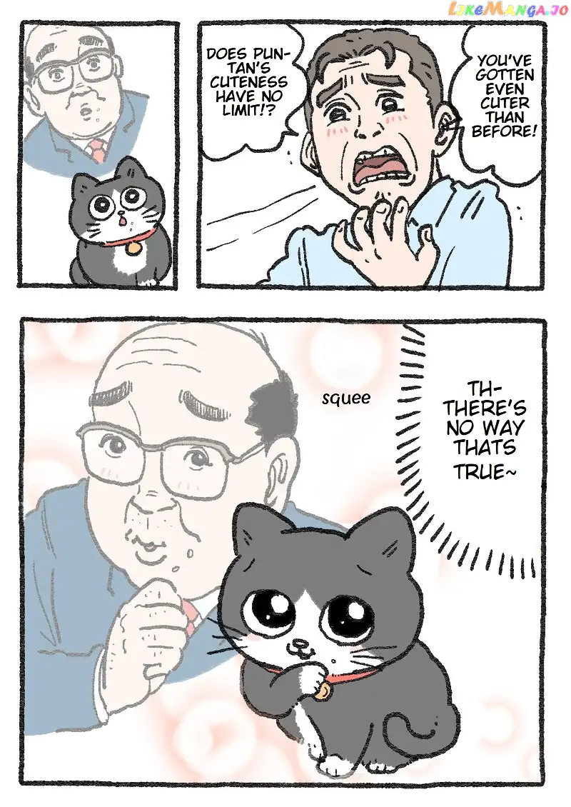The Old Man Who Was Reincarnated As A Cat chapter 70 - page 2
