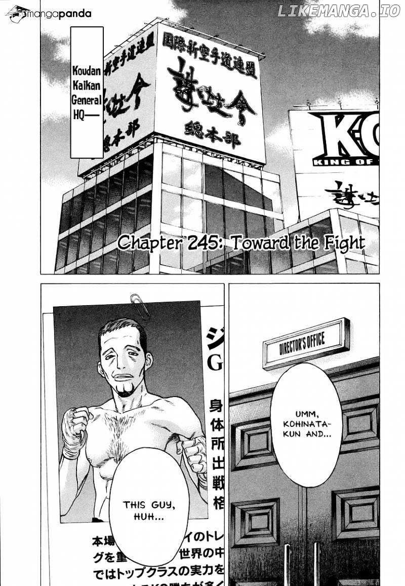 Karate Shoukoushi Kohinata Minoru Chapter 245 - page 1