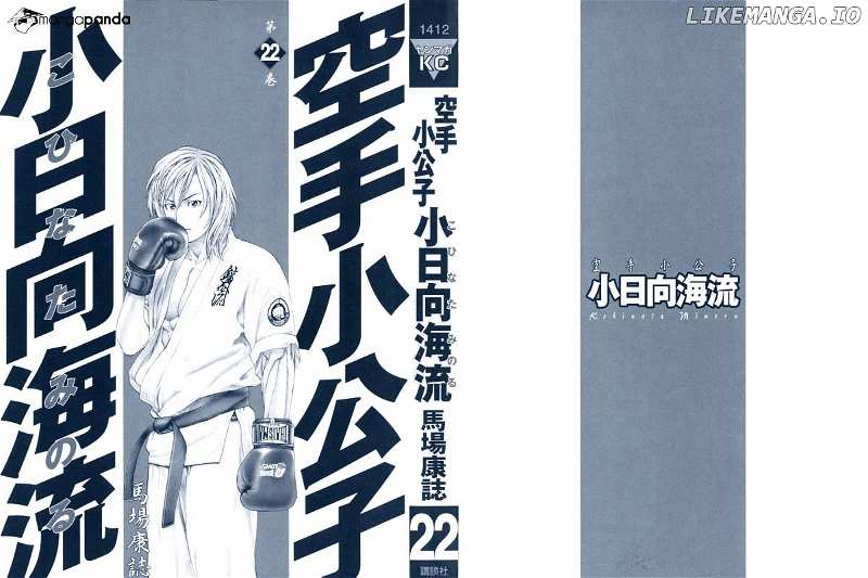 Karate Shoukoushi Kohinata Minoru Chapter 227 - page 2