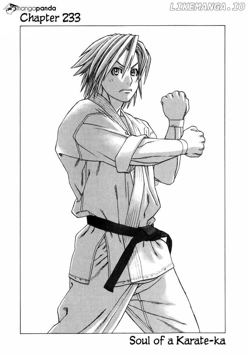 Karate Shoukoushi Kohinata Minoru Chapter 233 - page 1