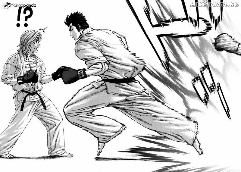 Karate Shoukoushi Kohinata Minoru Chapter 235 - page 3