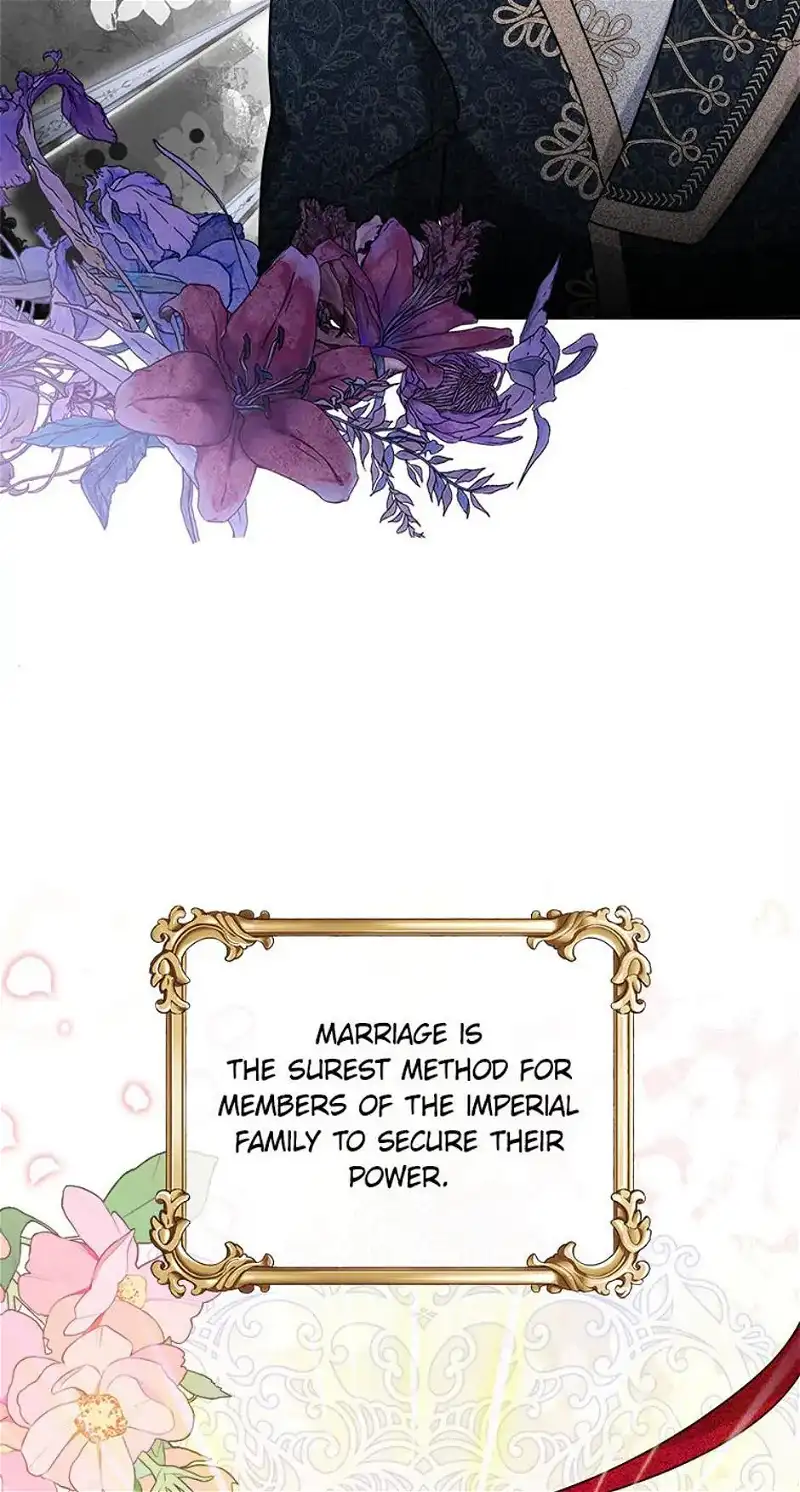 The Flower That Swallowed the Sun Chapter 35 - page 47